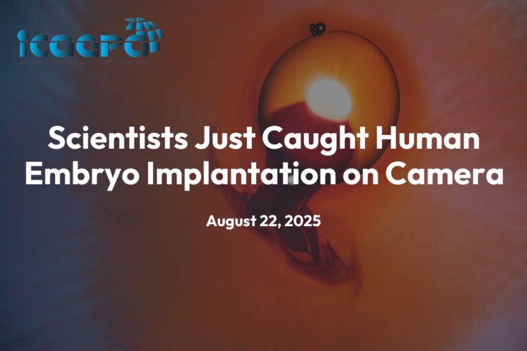 Scientists Just Caught Human Embryo Implantation on Camera