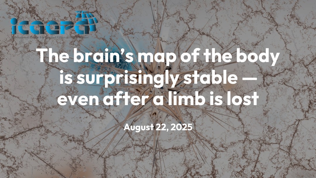 The brain’s map of the body is surprisingly stable — even after a limb is lost
