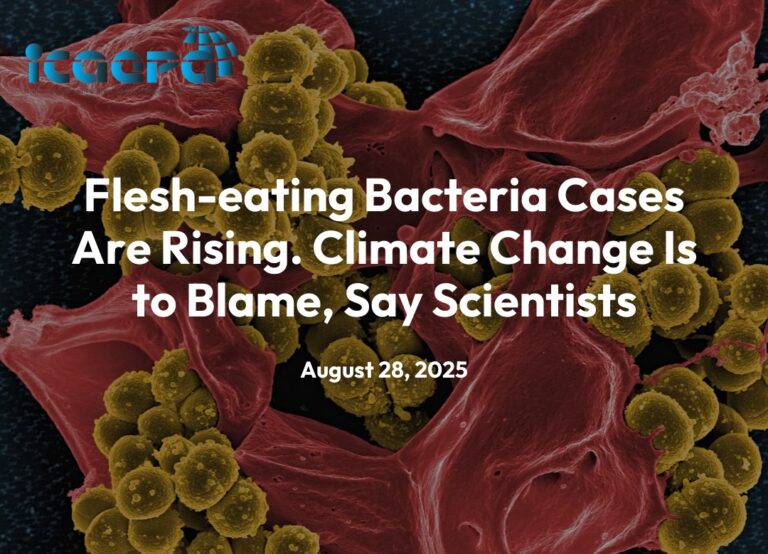 Flesh-eating Bacteria Cases Are Rising. Climate Change Is to Blame, Say Scientists